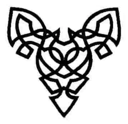 Petri Foundation Feis