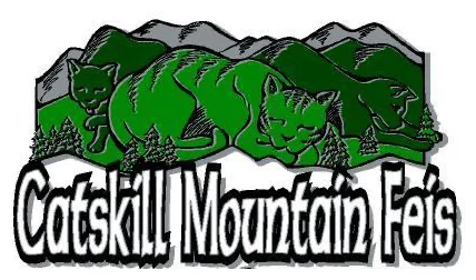 Catskill Mountain Feis